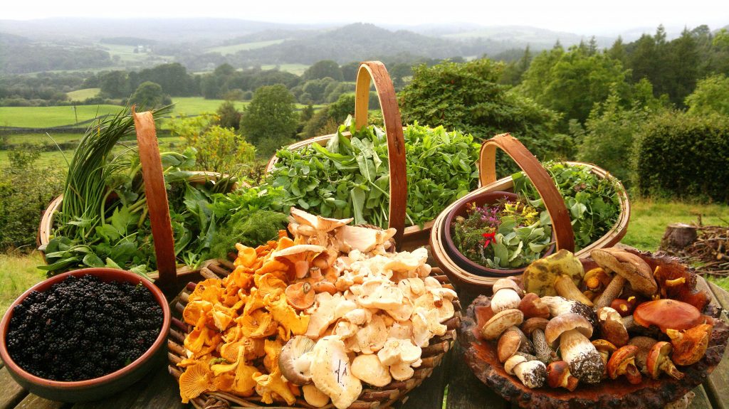 Celtic Cuisine Back to the Future Celtic Life International