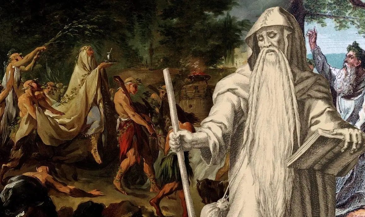 The Celtic Druids