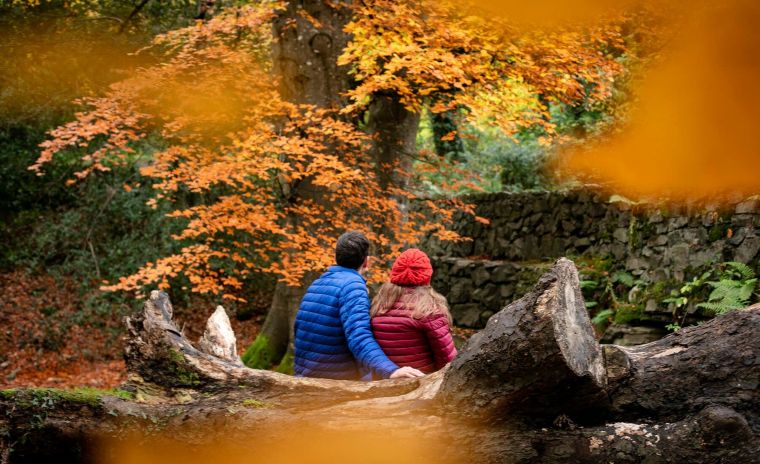 Autumn on the Emerald Isle