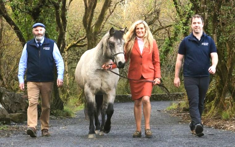The Connemara Pony Heritage Centre
